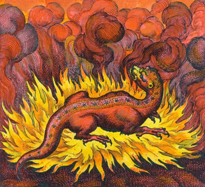 Seeing Red — Mars Retrograde